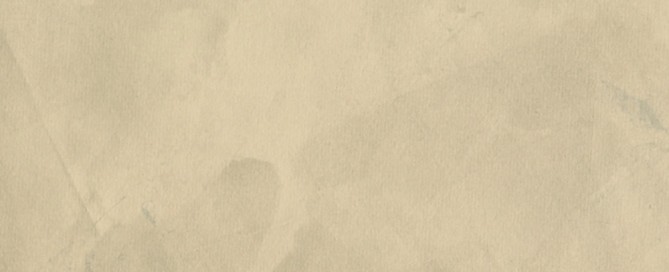 venetian plaster master installer